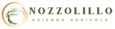 Nozzolillo Carlo